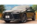 2024 Lexus NX