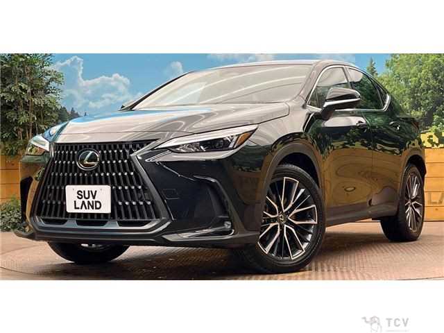 2024 Lexus NX