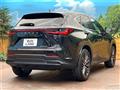 2024 Lexus NX