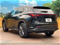 2024 Lexus NX