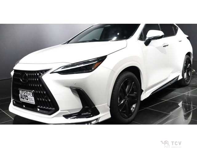 2024 Lexus NX