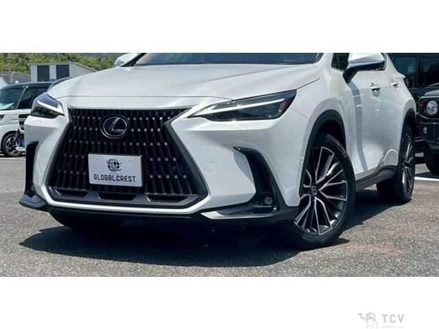 2024 Lexus NX