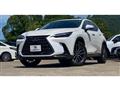 2024 Lexus NX