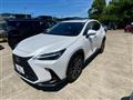 2024 Lexus NX
