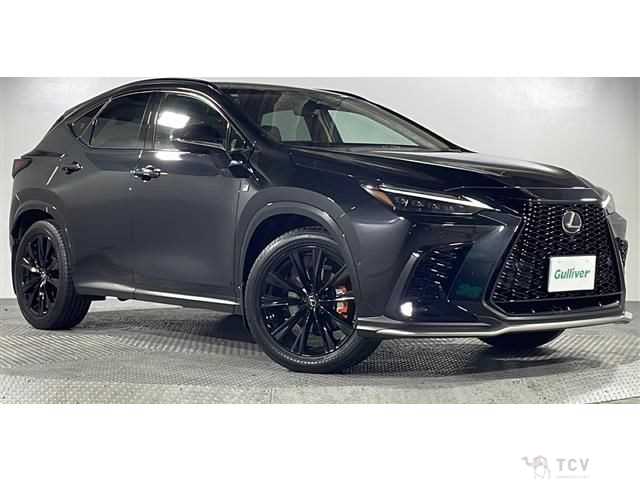 2024 Lexus NX