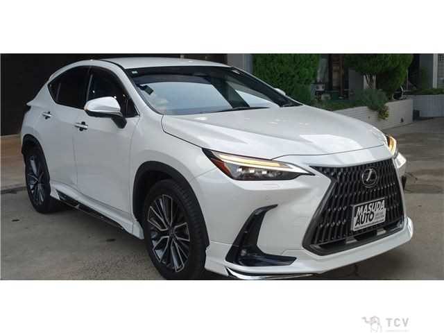 2024 Lexus NX