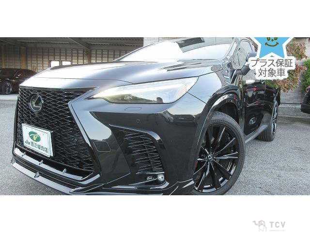 2024 Lexus NX