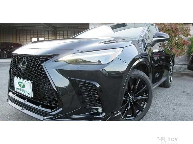 2024 Lexus NX
