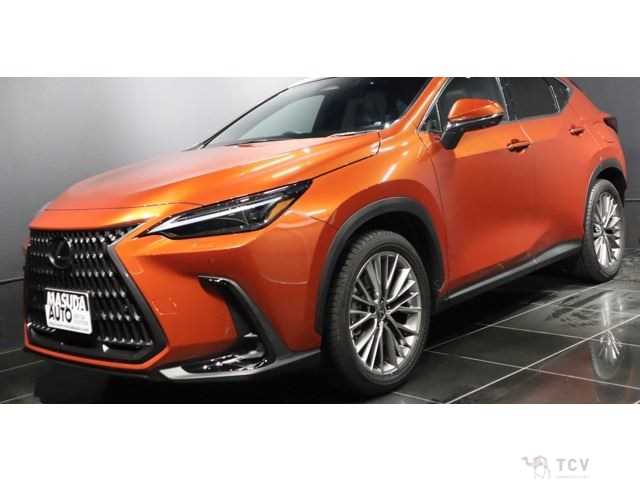 2024 Lexus NX