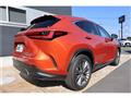 2024 Lexus NX