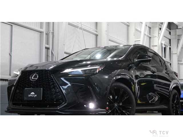 2024 Lexus NX