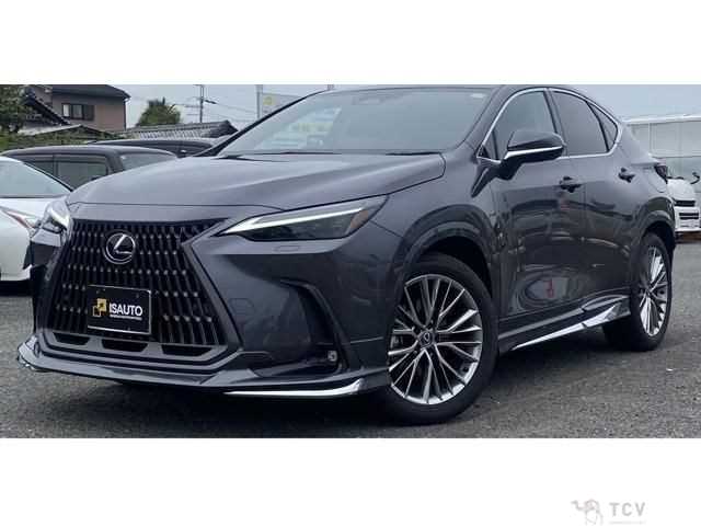 2024 Lexus NX