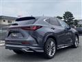 2024 Lexus NX