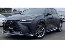 2024 Lexus NX