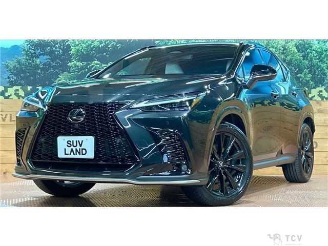 2024 Lexus NX