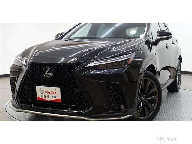 2024 Lexus NX