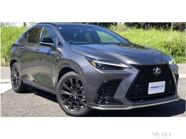 2024 Lexus NX