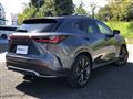 2024 Lexus NX