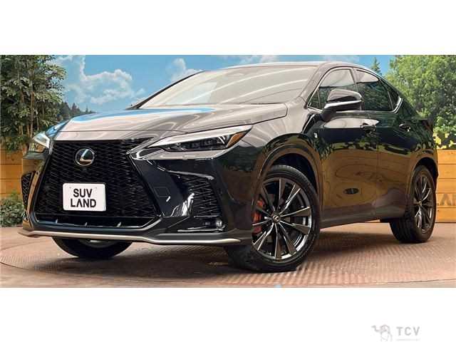 2024 Lexus NX