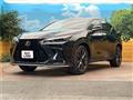 2024 Lexus NX