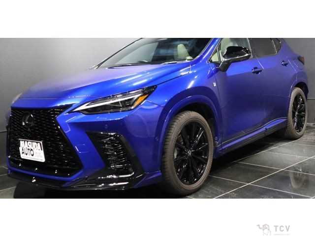 2024 Lexus NX