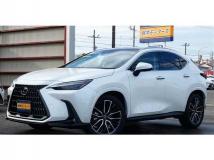 2024 Lexus NX