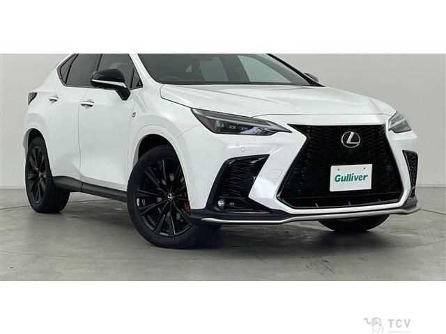 2024 Lexus NX