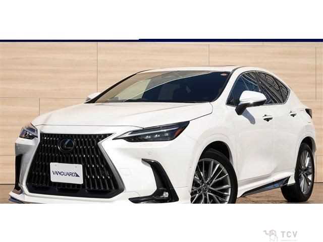 2024 Lexus NX