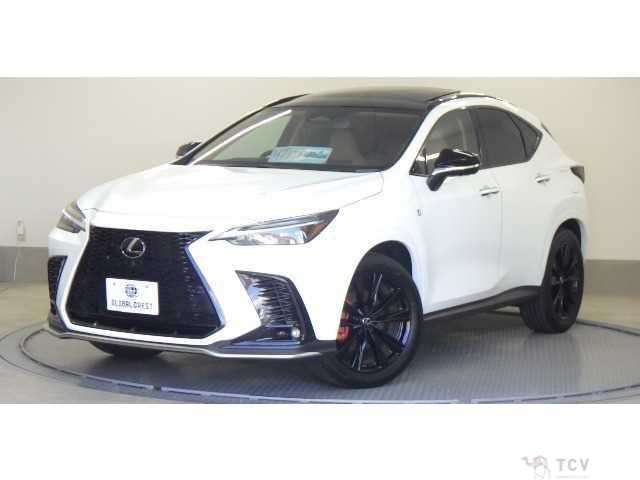 2024 Lexus NX