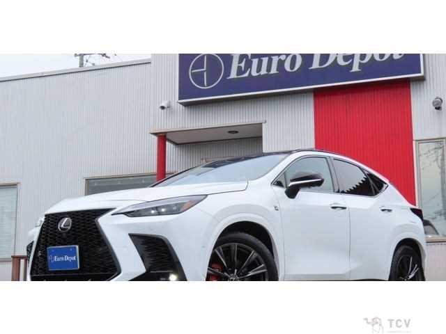2024 Lexus NX