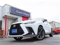 2024 Lexus NX