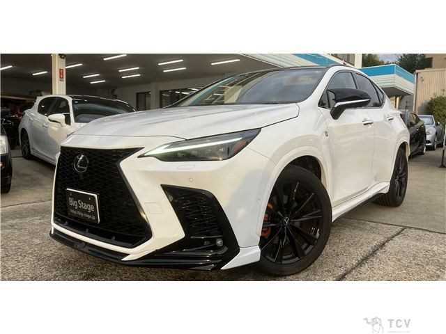 2024 Lexus NX