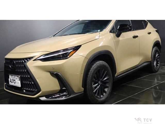 2024 Lexus NX