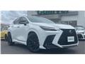 2024 Lexus NX