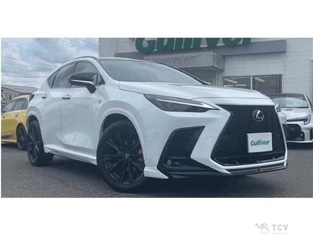 2024 Lexus NX