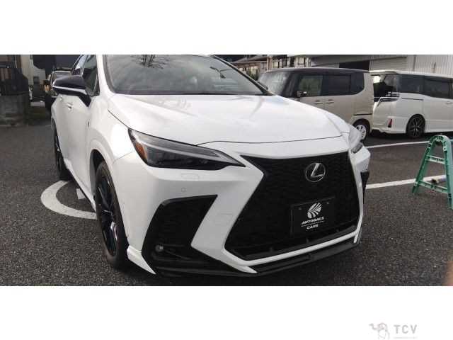 2024 Lexus NX