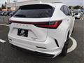 2024 Lexus NX