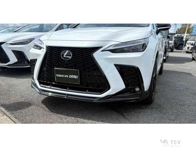 2024 Lexus NX