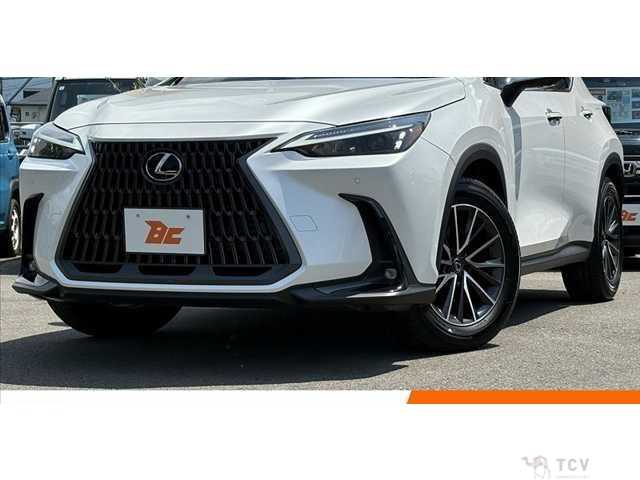 2023 Lexus NX