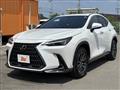 2023 Lexus NX