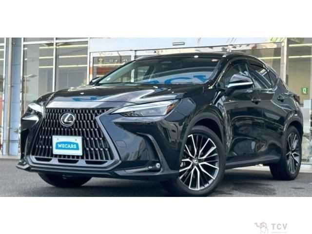 2023 Lexus NX