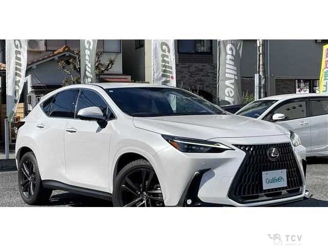 2023 Lexus NX