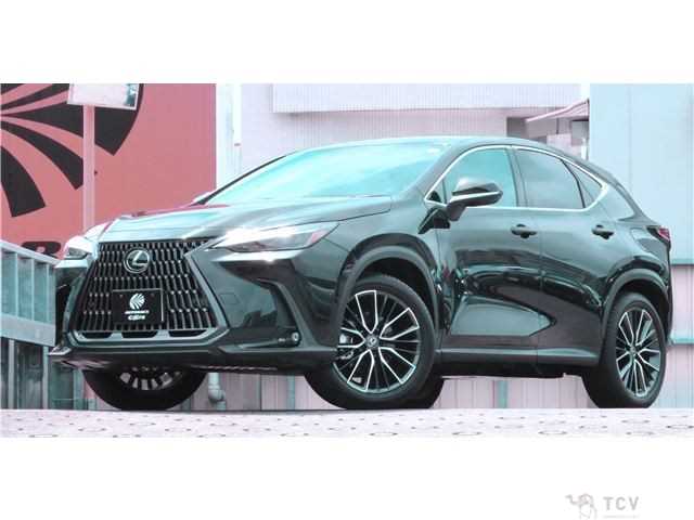 2023 Lexus NX