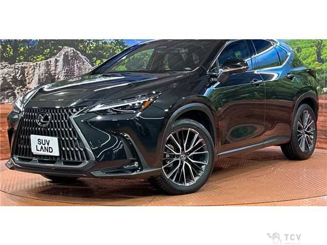 2023 Lexus NX