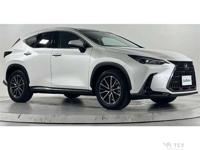 2023 Lexus NX