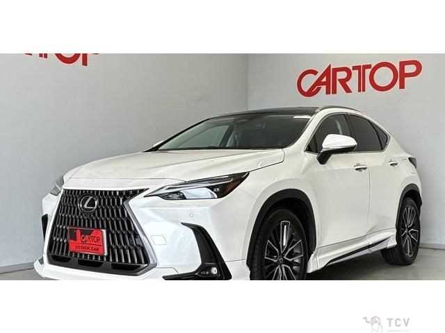 2023 Lexus NX