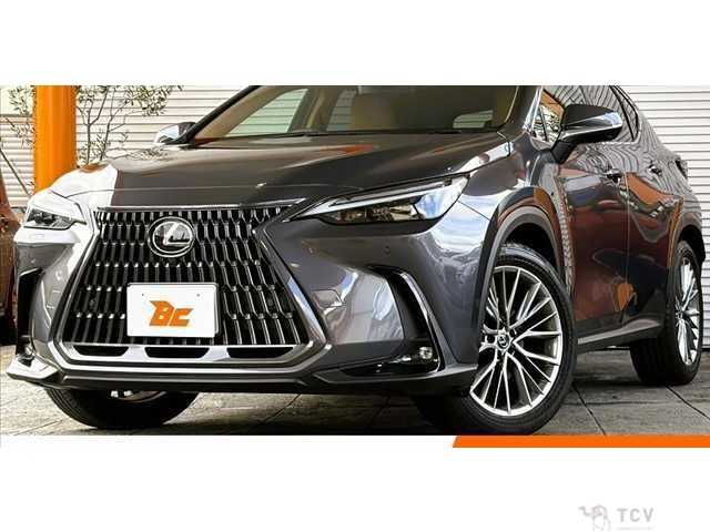 2023 Lexus NX