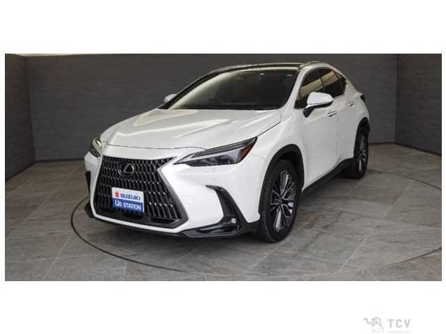 2023 Lexus NX