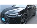 2023 Lexus NX