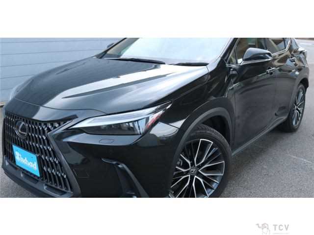 2023 Lexus NX